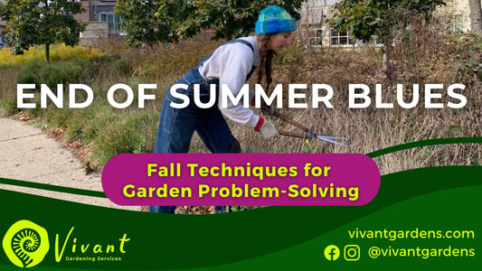 End of Summer Blues: Fall Techniques for Garden Problem-Solving