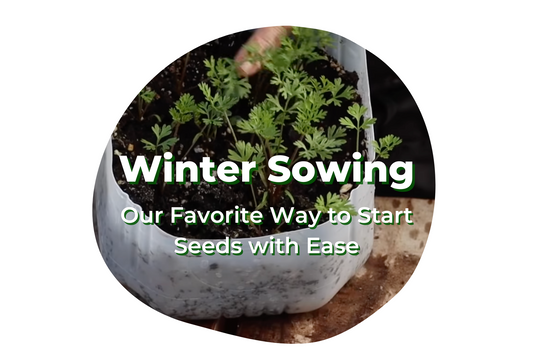 Winter Sowing – Virtual Workshop