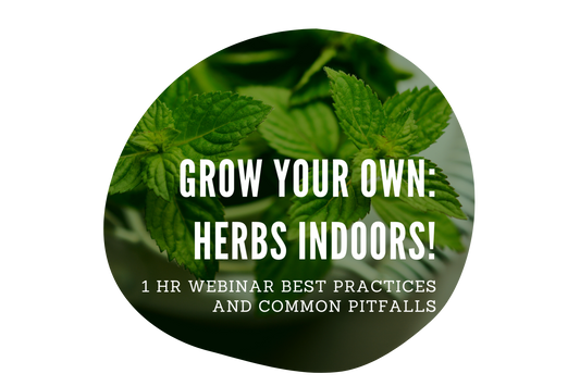 Growing Herbs Indoors – Virtual Workshop