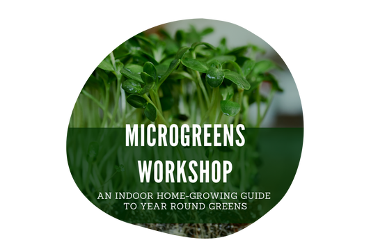 Grow Your Own Microgreens – Virtual Workshop