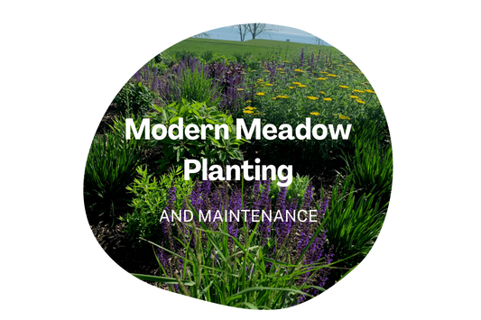 Modern Meadows - Virtual Workshop